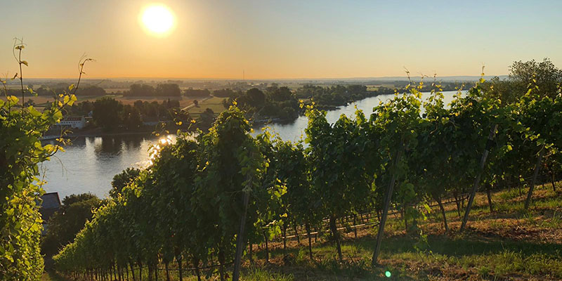 Winzer des Monats April – Gröhl